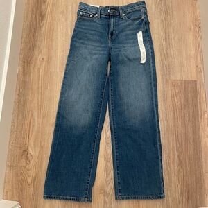 NWT Banana Republic Straight High-Rise Denim 25R